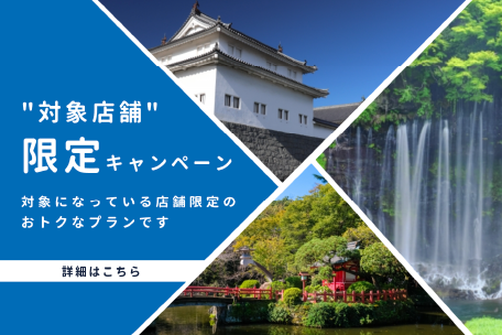 レンタで家康!ゆかりの地ドライブ★40%OFF★