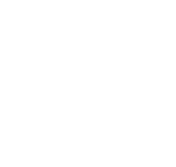 The CAMPING